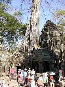 20100225-28 cambodia (21).jpg